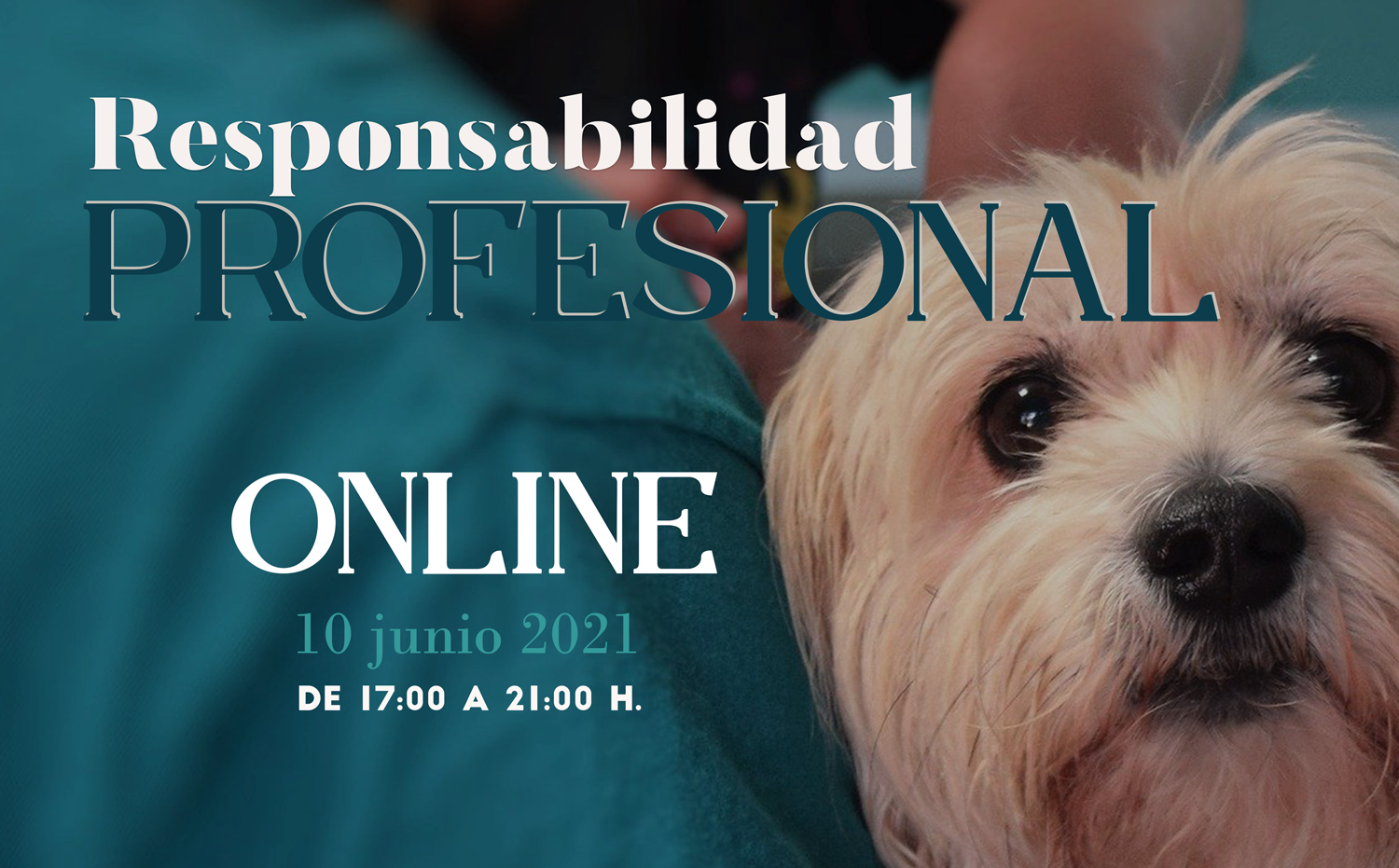 Consejo Andaluz De Colegios Oficiales De Veterinariosjornada Informativa Aspectos Prácticos 0574