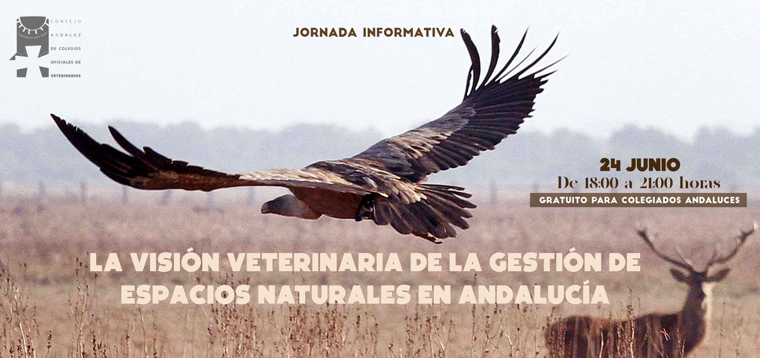 Consejo Andaluz De Colegios Oficiales De Veterinariosjornada Informativa La Visión Veterinaria 2613