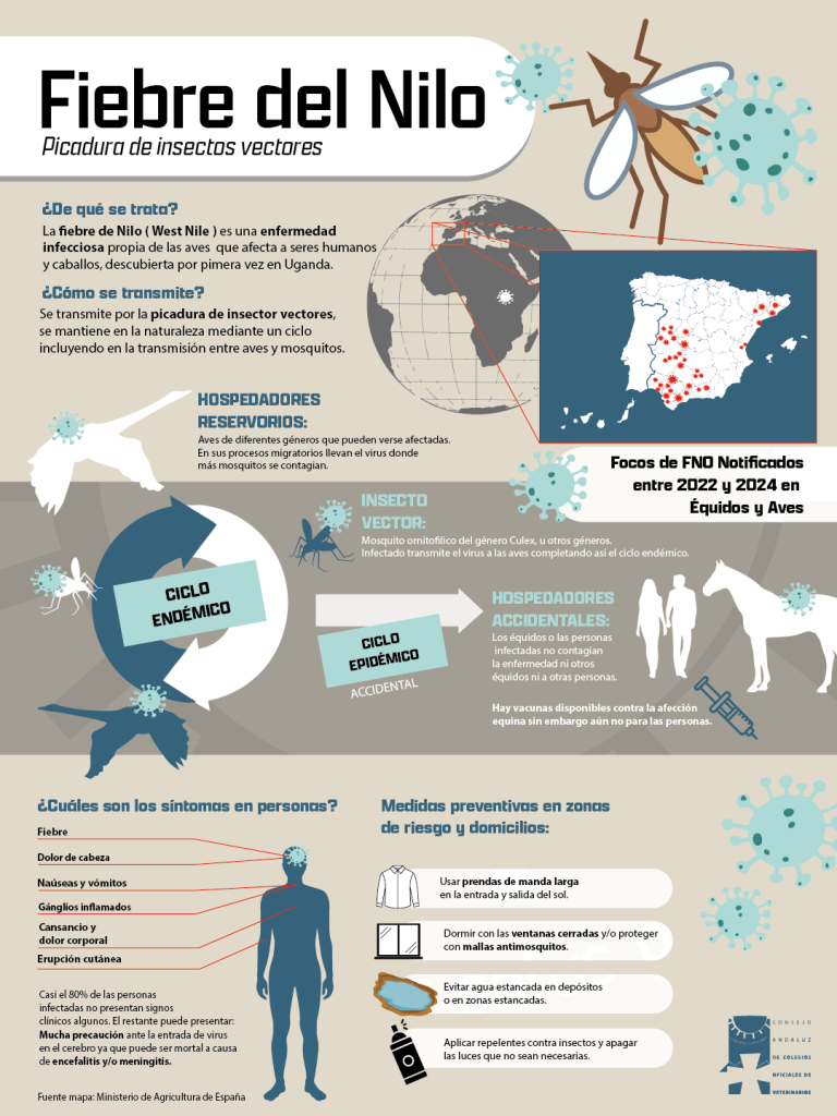 Infograf&iacute;a acerca de la Fiebre del Nilo (Picadura de insectos vectores)