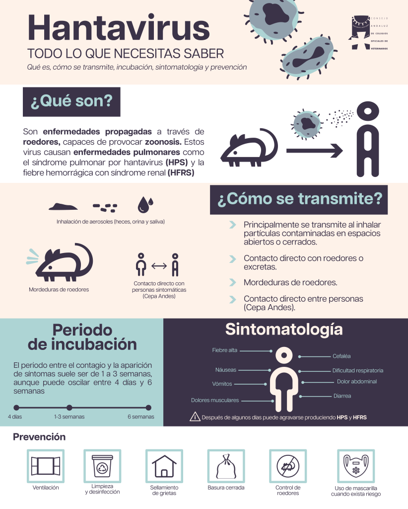 Infograf&iacute;a acerca del Hantavirus